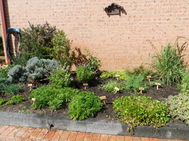 Our herb Garden near the Community Centre